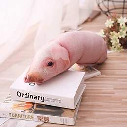 50cm pink pig Имитация спальный свинья плюшевая подушка животные плюшевые подушки для маленьких детей взрослых домашних животных укрепить диван кресло Декор друг подарок 50/70/90/120 см - Цвет: 50cm pink pig