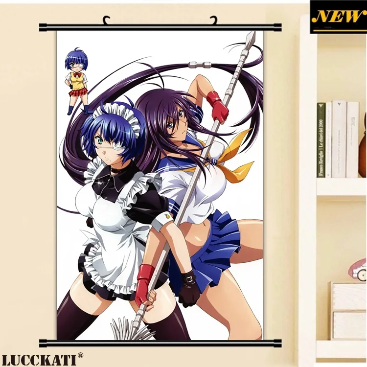 40X60 см Ikkitousen battale Vixens Shiozaki Yuji серия квитанция мультфильм аниме Настенная картина прокрутки холст живопись плакат