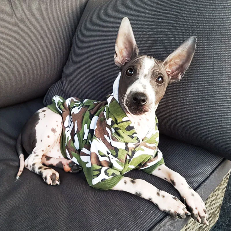 Модные пальто Pet Одежда для собак Симпатичные хлопковая камуфляжная теплая
