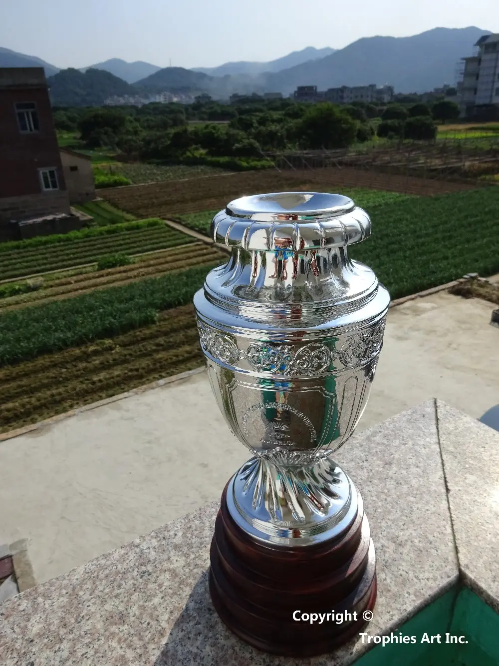 Copa Америка 2015 Кубок трофей приза смолы Реплика 1:1 реальный размер|cup trophy|copa america