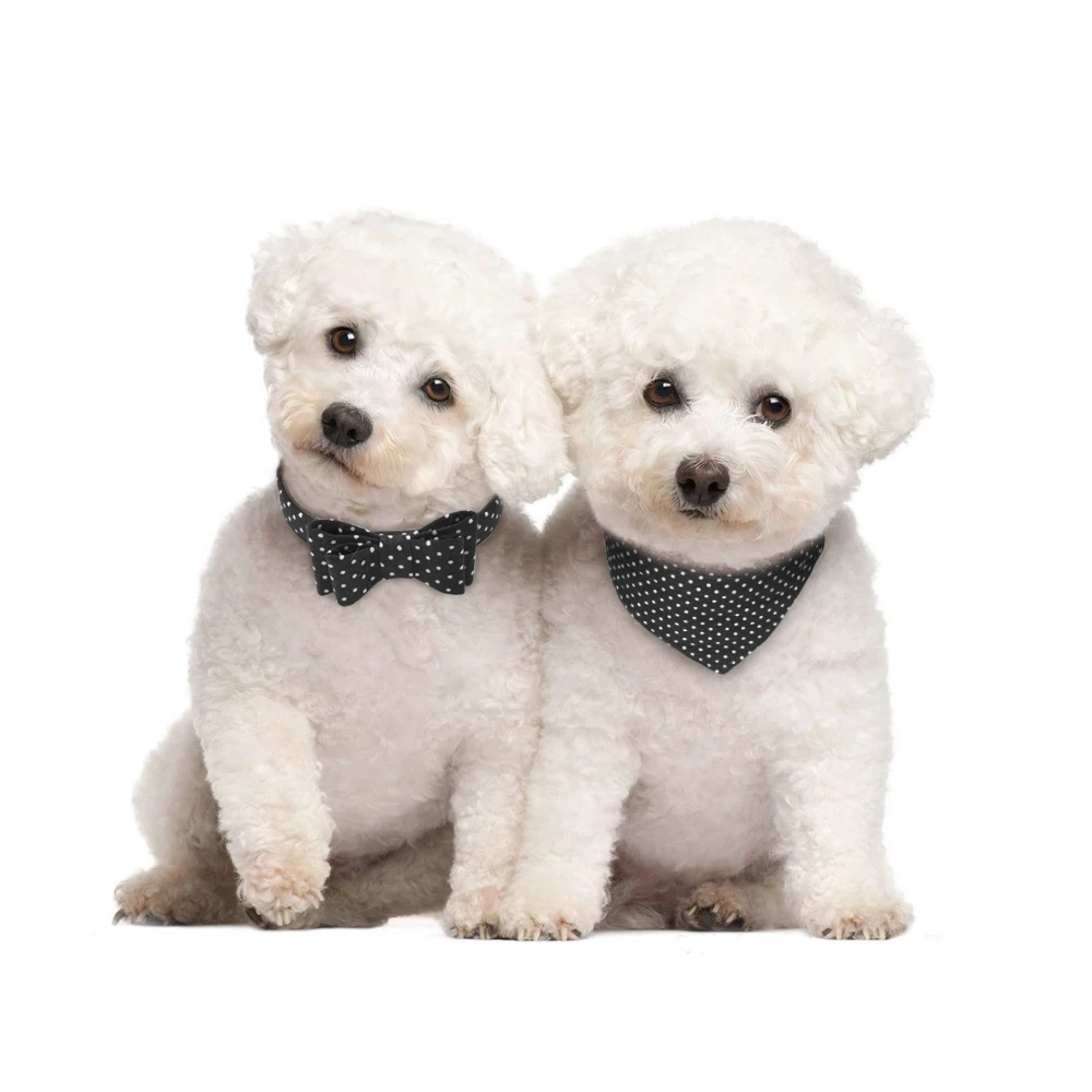 Милый собачий бант для кошек ошейник Banada Puppy Kitten Dot Ошейник Бандана Scraf ожерелье аксессуары для домашних животных для маленьких средних собак кошек