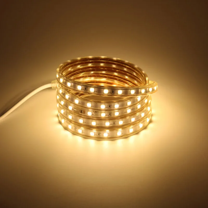 Светодиодная лента 220 В SMD 5050 60 л/м 1 м 2 3 4 5 6 7 8 9 10 с европейской штепсельной вилкой