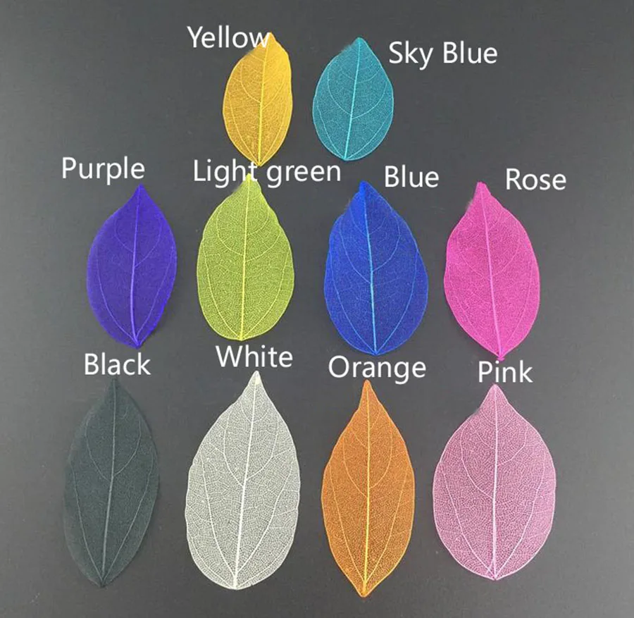 

100pcs Dried Dyed Magnolia Skeleton Leaf Leaves Flower Plant Herbarium For Jewelry Postcard Invitation Card Phone Case DIY