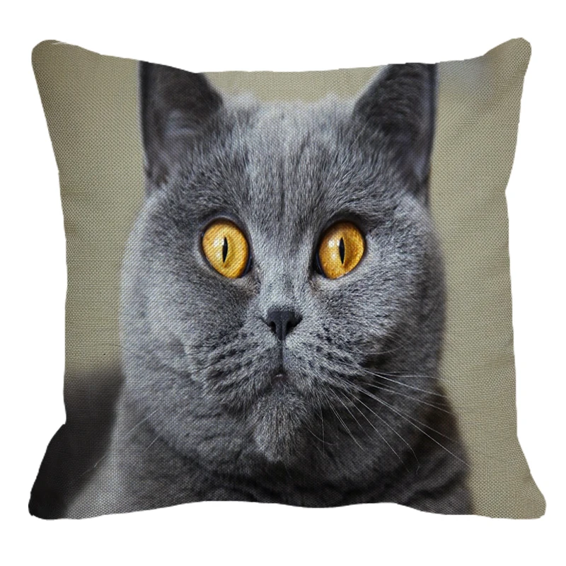 XUNYU Cute British Shorthair Cat Linen Pillowcase Sofa Decorative Pillow Cover Animal Pattern Square Cushion 45X45cm AC011 |
