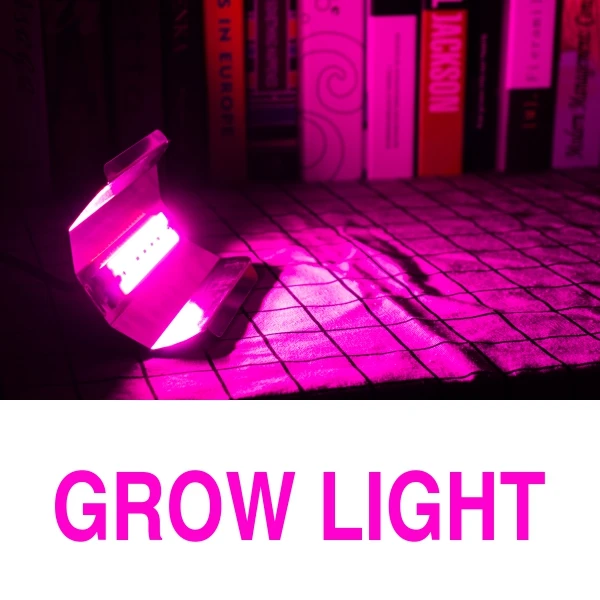 Grow Light Светодиодный прожектор 30 Вт 50 Вт 80 Вт открытый светодиодный светильник фокусировки ing 220 В Точечный светильник полный спектр IP67 Водонепроницаемый Светодиодный точечный светильник COB настенный светильник - Испускаемый цвет: Grow Light
