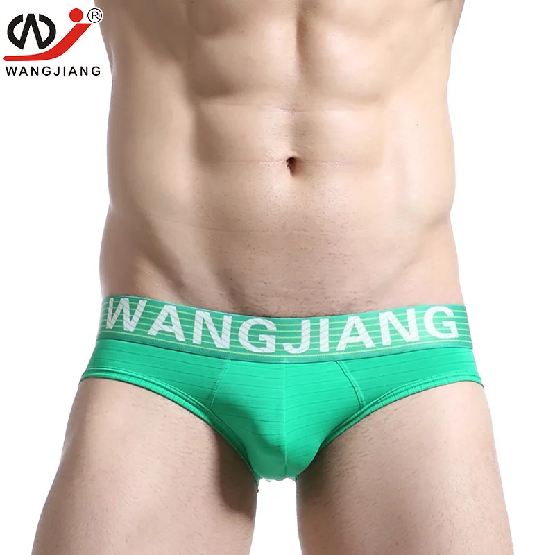 WJ Men briefs sexy underwear shorts men G-strings gay penis pouch Jockstraps Nylon Silky Sheer underpants |