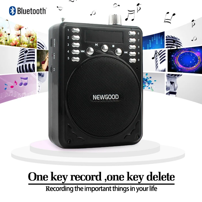 Мини Портативный голос усилители домашние Bluetooth колонки громкий запись с FM радио беспроводной микрофон для учителей гид