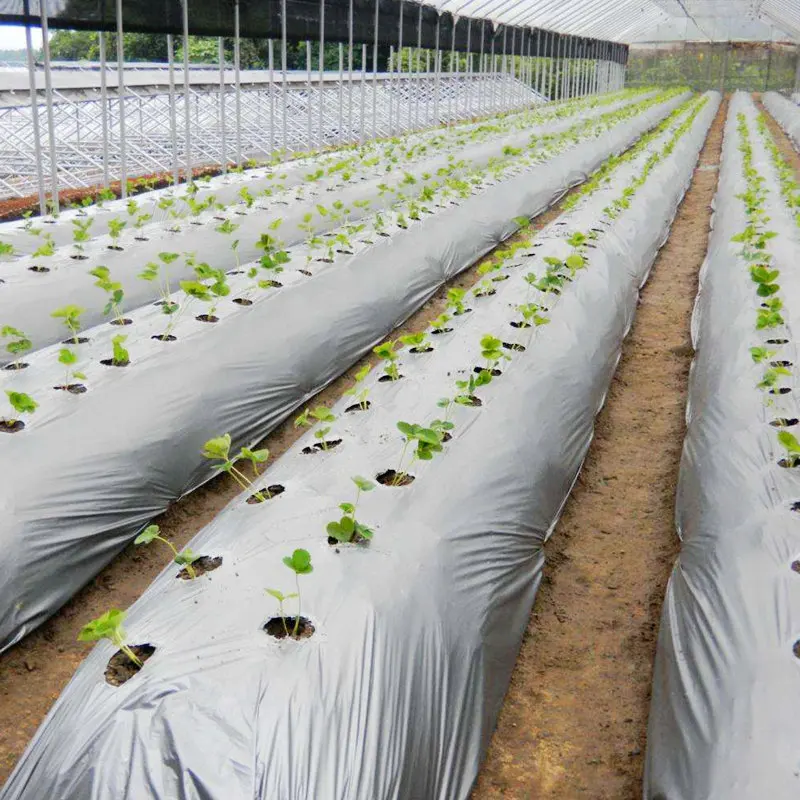 Сельскохозяйственная защитная плёнка для защиты от мороза 30 м 0 02 мм|Укрытие
