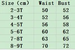 Baby Girls Ball Gown Flower Girl Dress Clothes Princess Gowns Big Bow Pink Summer Tulle Evening DF60 | Детская одежда и обувь