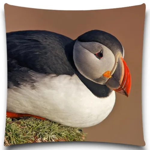 Животных птиц выгодное предложение 2016 наволочка площади сова Чехлы декоративная