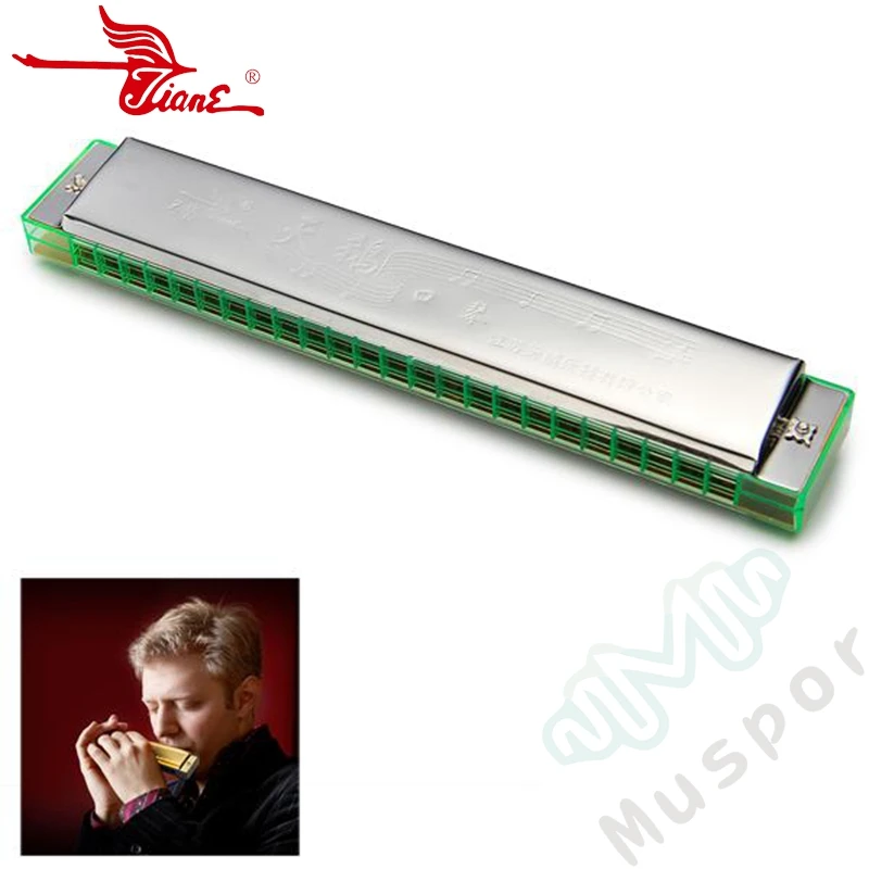 Лебедь 24 Отверстия двойной тремоло настроенная Губная гармошка Ключ C дети