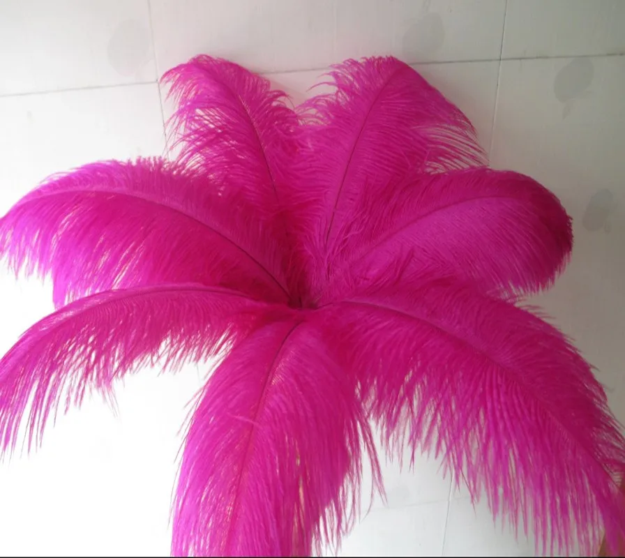 10 шт. декоративные страусиные перья 12 дюймов (25 30 см)|feather wedding decorations|ostrich feathers