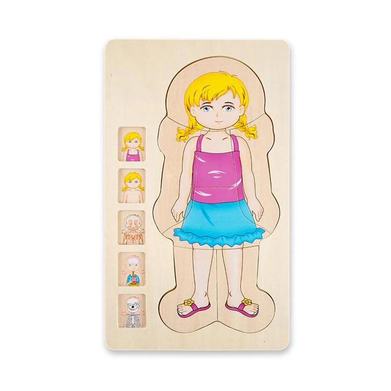 Girl Onshine деревянные Многослойные головоломки игрушки для мальчиков и девочек структура тела Дети Обучающие игрушки Обучающие для детей - Цвет: Girl