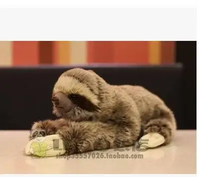 Бесплатная доставка новые милые плюшевые игрушки с тремя зубцами Ленивец TOYSCM 25