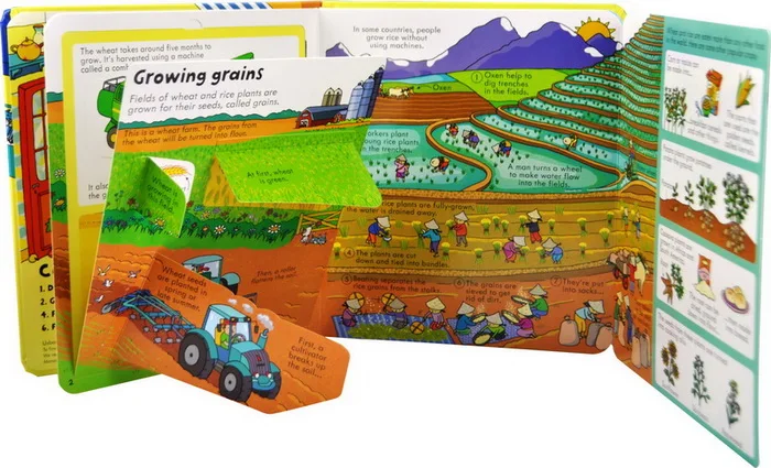 Великобритания английский 3D Usborne вид внутри еды картинка книги обучение детей