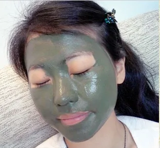 Вулкан глина Новое поступление Улучшенная грязевая чистая маска 500 г против