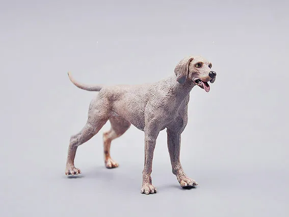 3 &quotМини милый Weimaraner ПВХ vivid собака модель фигурки героев детская игрушка в