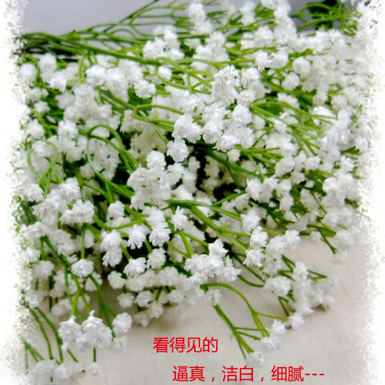 Пластиковые цветы сухих цветов моделирования звезды оптовая декоративный