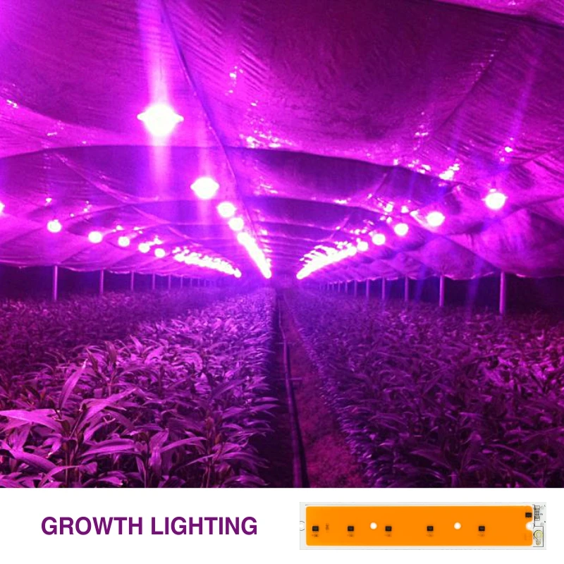 LED COB Plant Grow Light Chip Full Spectrum AC220V 50W Smart IC Cold White LED Lamp Beads Chip For DIY Led Floodlight Spotlight