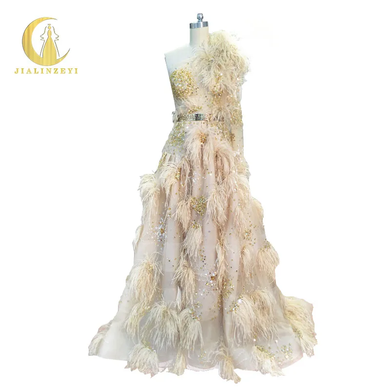 

Rhine Real Image Sample One Long Shoulder Zuhair Murad Champange Gold Sequins Feather Luxurious Fashion new Formal evening dress