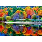 Сделай Сам 5D алмазная картина осенний пруд полная Алмазная мозаика картина Алмазная вышивка пейзаж узор Стразы картина