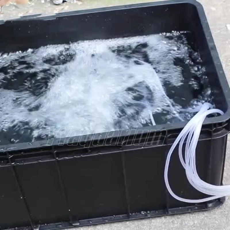 Натуральная Hailea 25 Вт DC12V постоянный магнитный воздушный компрессор насосы аквариум для рыбоводства пруд гидропоники морепродукты Ресторан