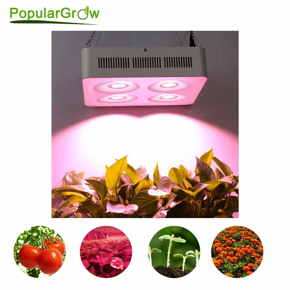 800w With Cob Reflector Cup For Grow Tent/indoor Greenhouse/commercial Hydro Plants