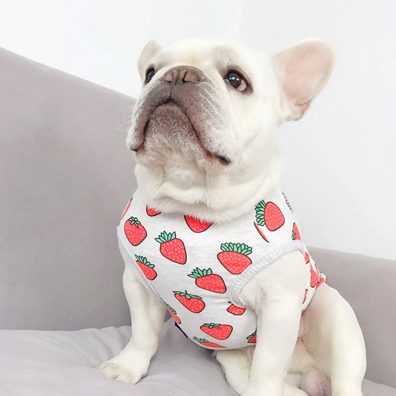 Весенняя одежда для собак с принтом клубники жилет кошек рубашка костюм