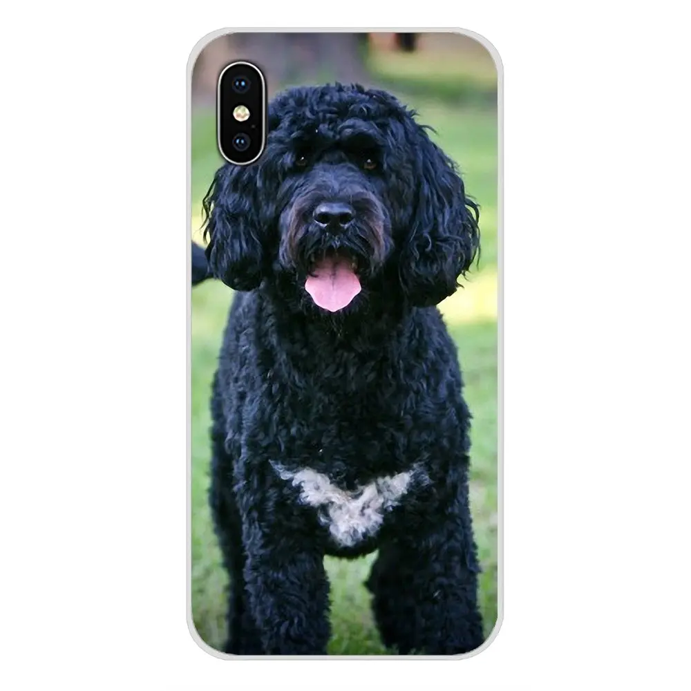 Чехол с рисунком ирландской воды спаниеля из ТПУ для Apple iPhone X XR XS MAX 4 4S 5 5S 5C SE 6 6S 7 8
