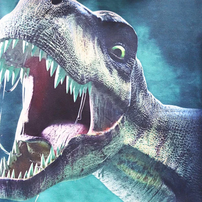 2020 одежда для маленьких мальчиков хлопковые толстовки с капюшоном куртка