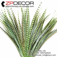 zpdecor good selling 28 32inch70 80cm 20pieceslot pretty lime green lady amherst pheasant tail feather for carnival decor