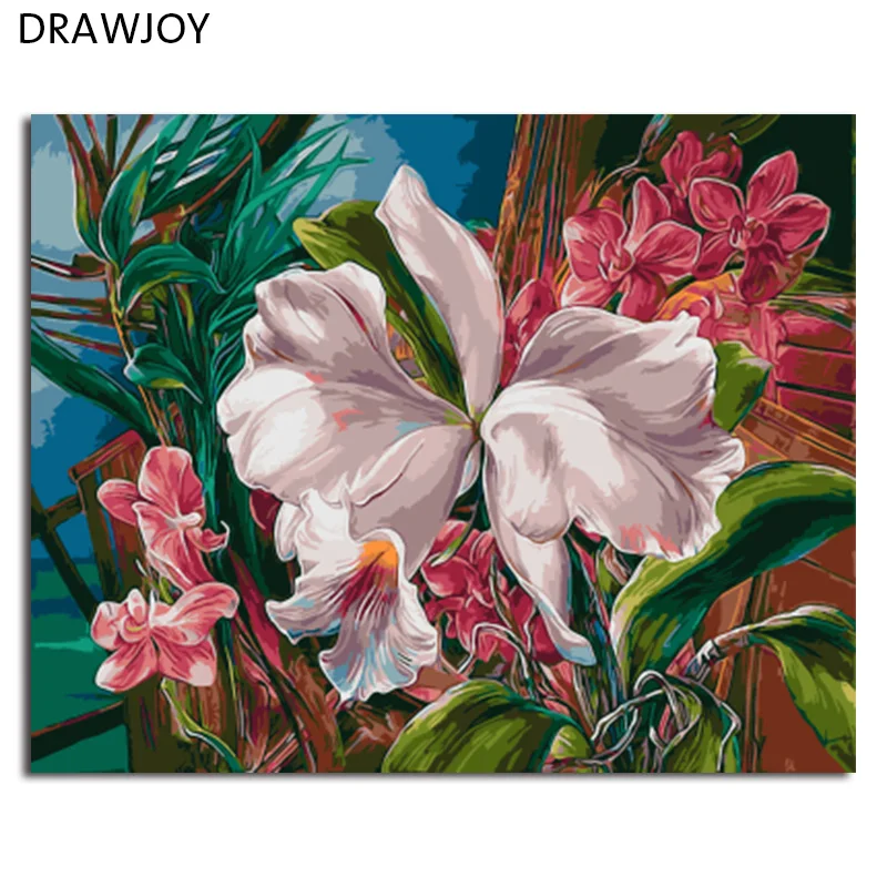 DRAWJOY масляная краска в рамке DIY Краска по номерам Раскраска по номерам цветок украшение дома 40*50 см
