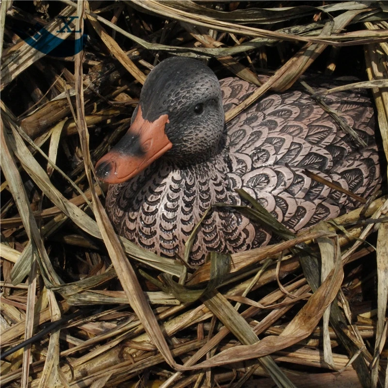 Xilei оптовая продажа качество женские приманки пластик для утка Охота|plastic dome|plastic
