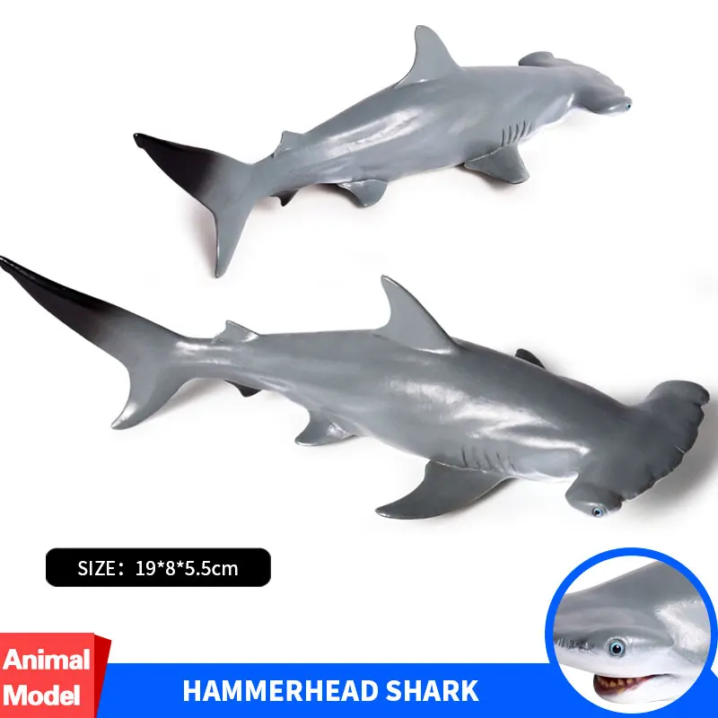 

Oenux Sea Life Animals Hammerhead Shark Model Marine Animal Whale Shark Solid PVC Action Figures Collection Toy For Kids Gift