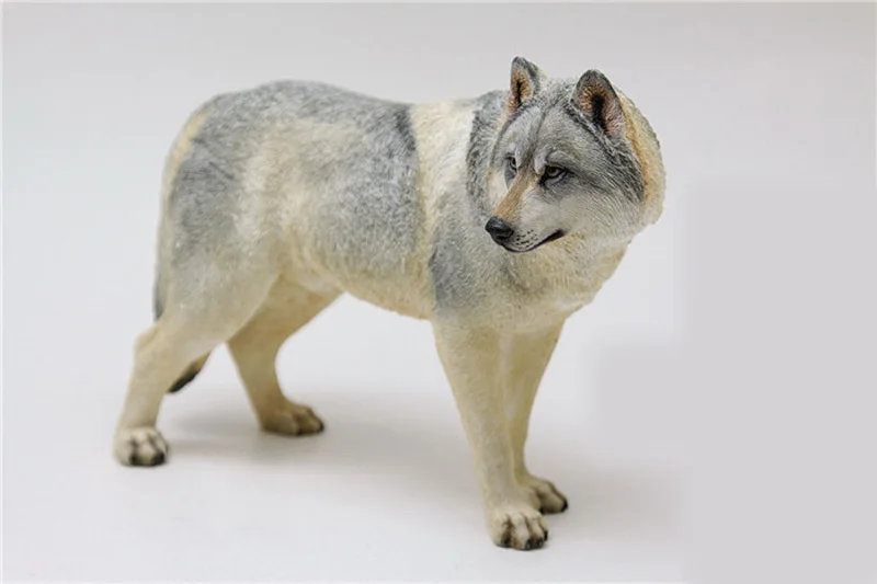 Mnotht 1/6 имитация модели животных Койот снег Волчья модель steppe волк для 1:6 фигурки
