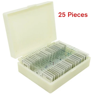 25 pieces Китайский/английский этикетки Животные, насекомые и растения 11/25/50/91 штук образец готов стекло предметное стекло для микроскопа школьные биологические лаборатории - Цвет: 25 pieces