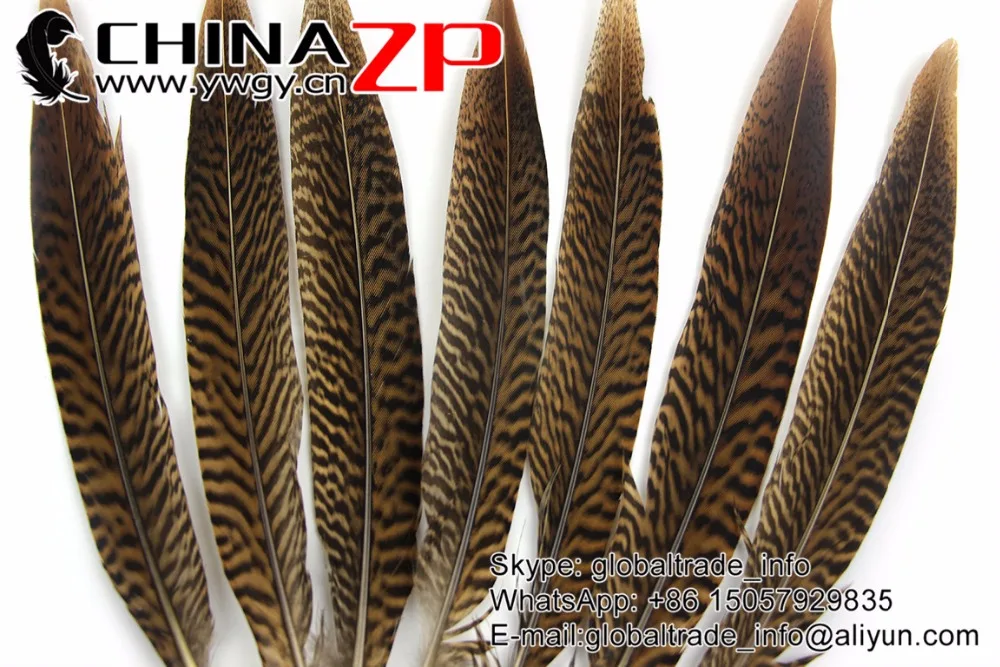 Перья CHINAZP 20 ~ 25 см (8 10 дюймов) короткий размер натуральный Золотой фазан