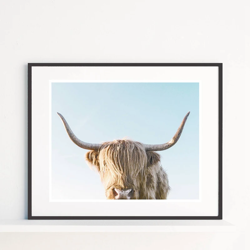 Животные на ферме корова холст Художественная печать и плакат для фотографии