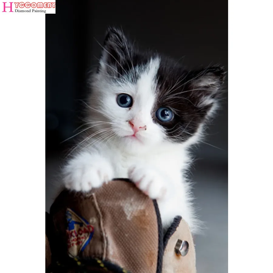 

5d diamond painting Animal Cat full drill square diamond embroidery Cross stitch pictures of rhinestones Wedding decoration