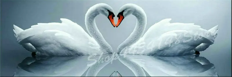 Square 5d diamond painting full of swan animals 3d embroidery animal rhinestone mosaic home decoration | Дом и сад