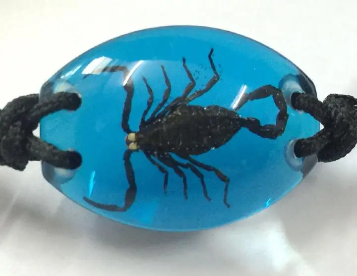 10 браслет Real Black Scorpion Taxidermy в смоле синего цвета|scorpion exo|scorpion rcscorpion tank |