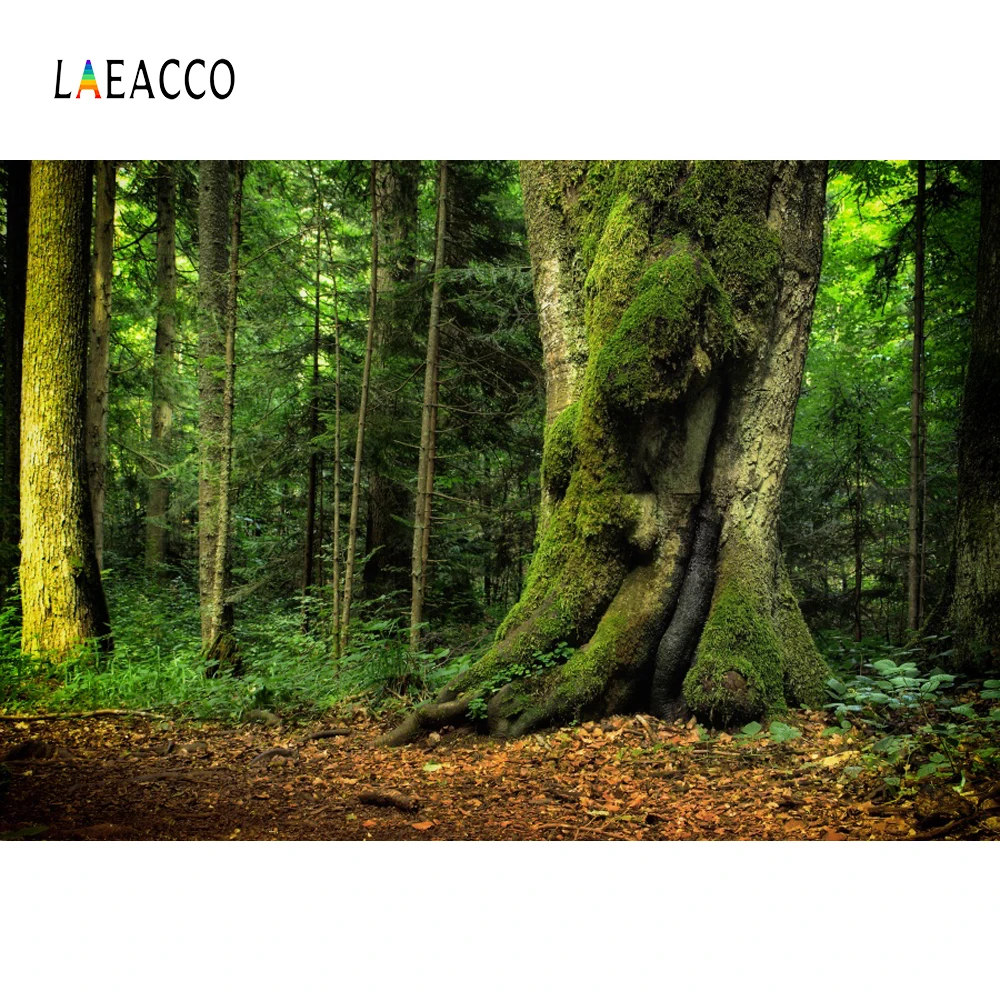 Laeacco джунгли зеленый лес мох Природный живописный фотографический фон|photographic