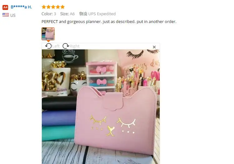 Kawaii kitty cat Дизайн школьные спиральные блокноты канцелярские товары милый Биндер планировщик Органайзер/линия еженедельник A6 Блокнот