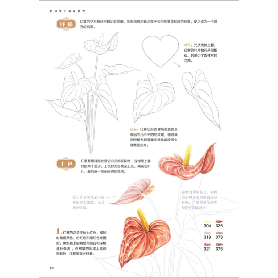 Цветной карандаш цветы мир цветной ing Book взрослые дети Искусство Эскиз Рисование
