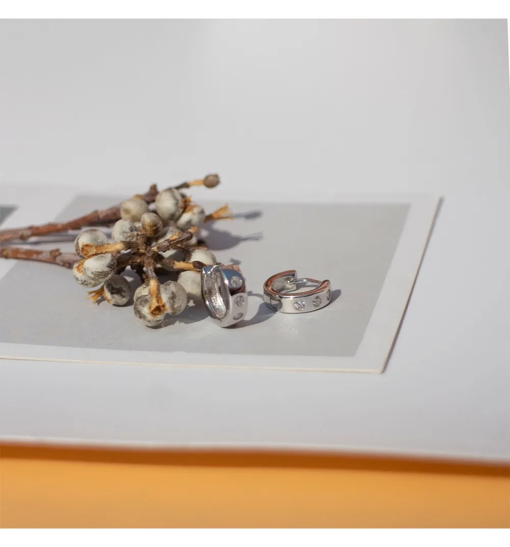 Серьги из стерлингового серебра 925 пробы, модные, циркониевые, Круглые, изогнутые, с широким вырезом, большие серьги, кость, дикий темперамент, тренд, женские серьги