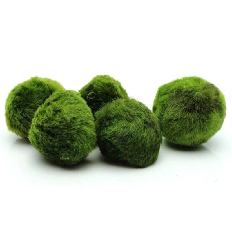 

10pcs/lot Diameter 3-4cm Living Green Algal Bulb Small Ball Aquarium Fish Tank Landscape Foreground Grass Ornament Wholesale