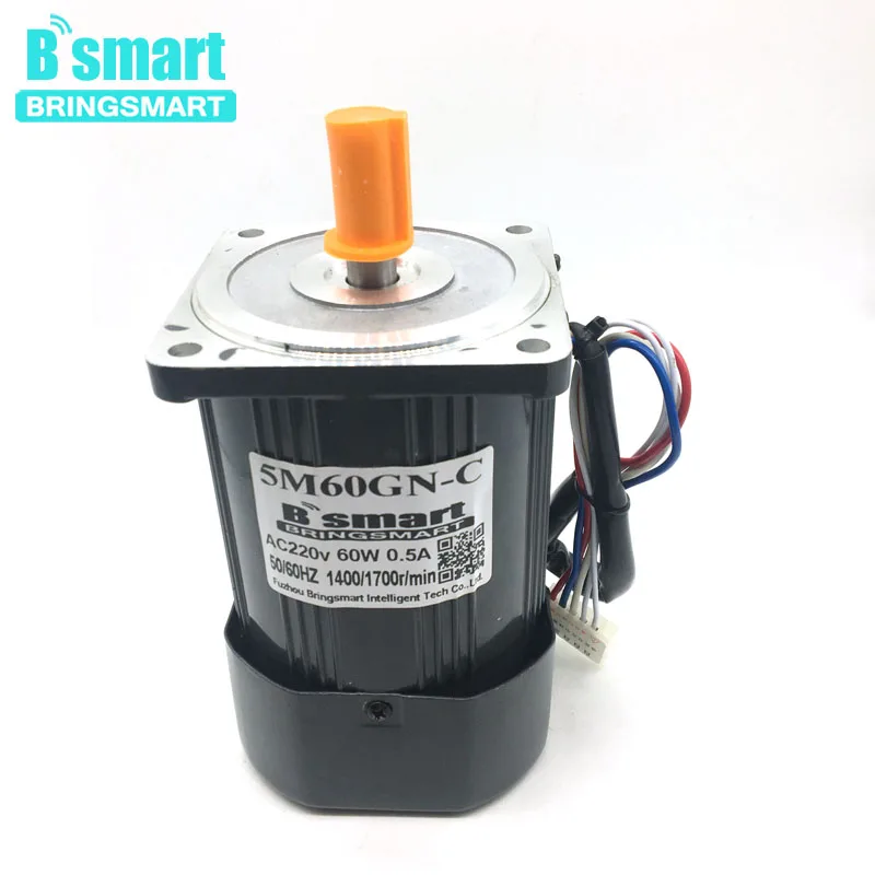 Bringsmart 5M60GN-CC 220V 60 Вт моторный накопитель переменного тока небольшого машинного оборудования высокого Скорость производительный электромотор переменного тока Регулируемый Скорость мотор