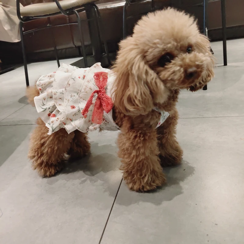 Cute Bowknot Dog Dress Cat Chihuahua Yorkshire Puppy Dog Clothes Small Dog Costume Yorkie Poodle Bichon Schnauzer Pet Clothing