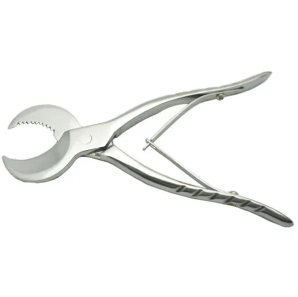 Бесплатная доставка 20 см (8 дюймов) большая Стоматологическая лаборатория