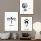 Черно-белая Стрекоза Одуванчик минималистичные скандинавские плакаты и принты настенная живопись на холсте Настенная картина для декора гостиной